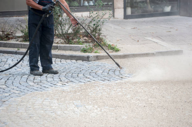 Best Spring Cleaning  in Parkwood, CA