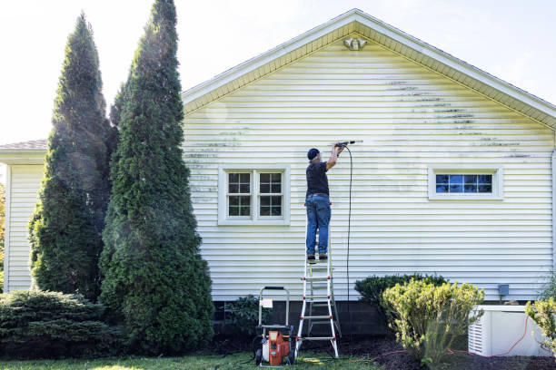 Best Rust Removal  in Parkwood, CA